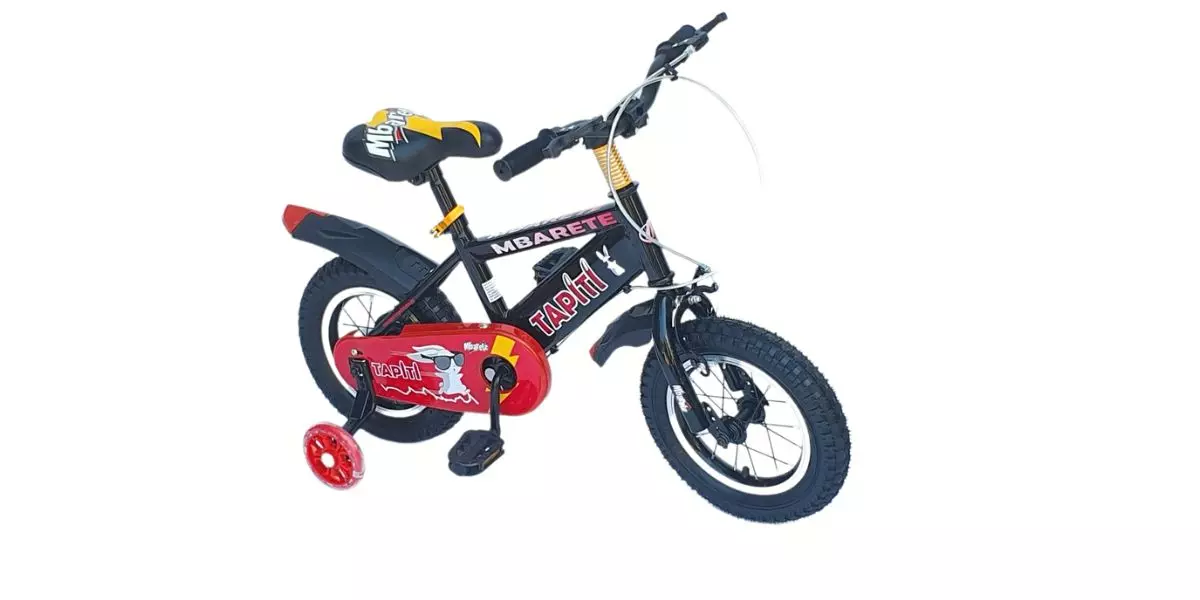 Bicicleta besatti aro online 12